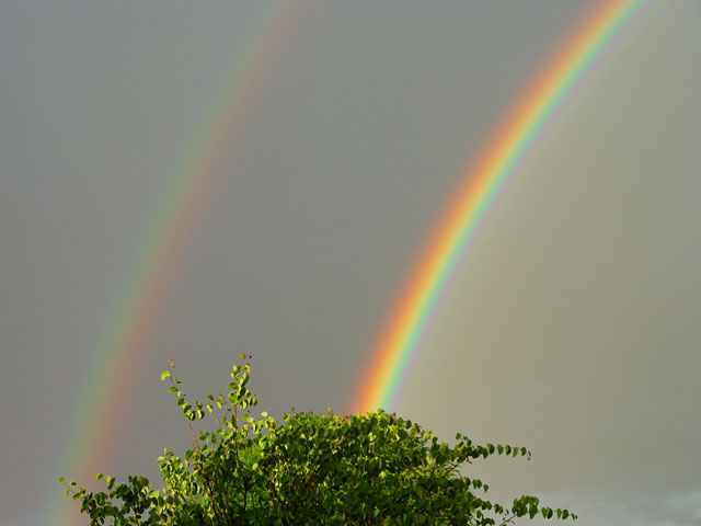 double rainbow