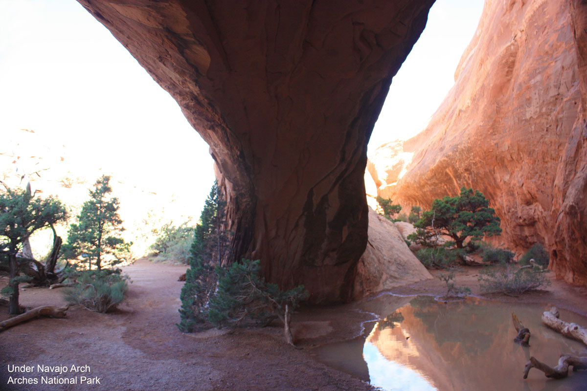Under Navajo Arch