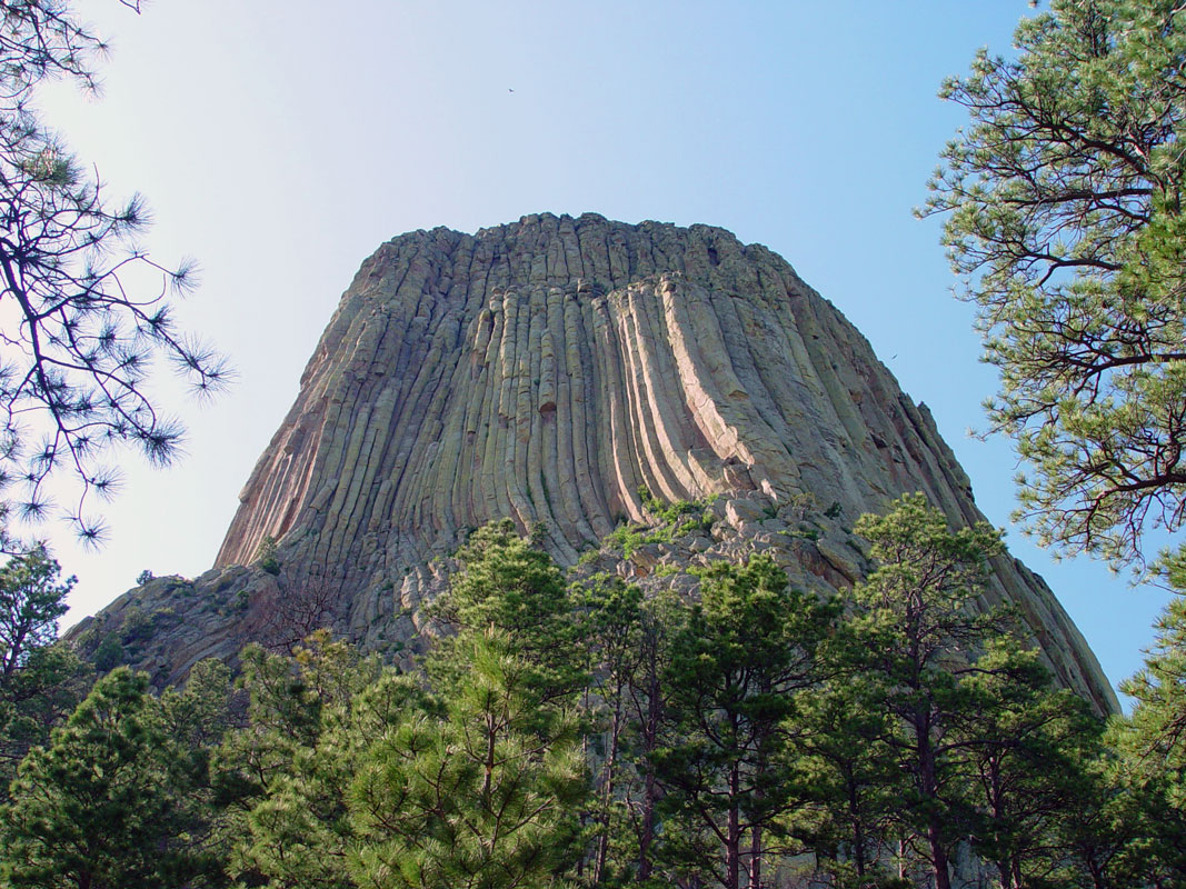 Devils Tower from Tower Trail SSE