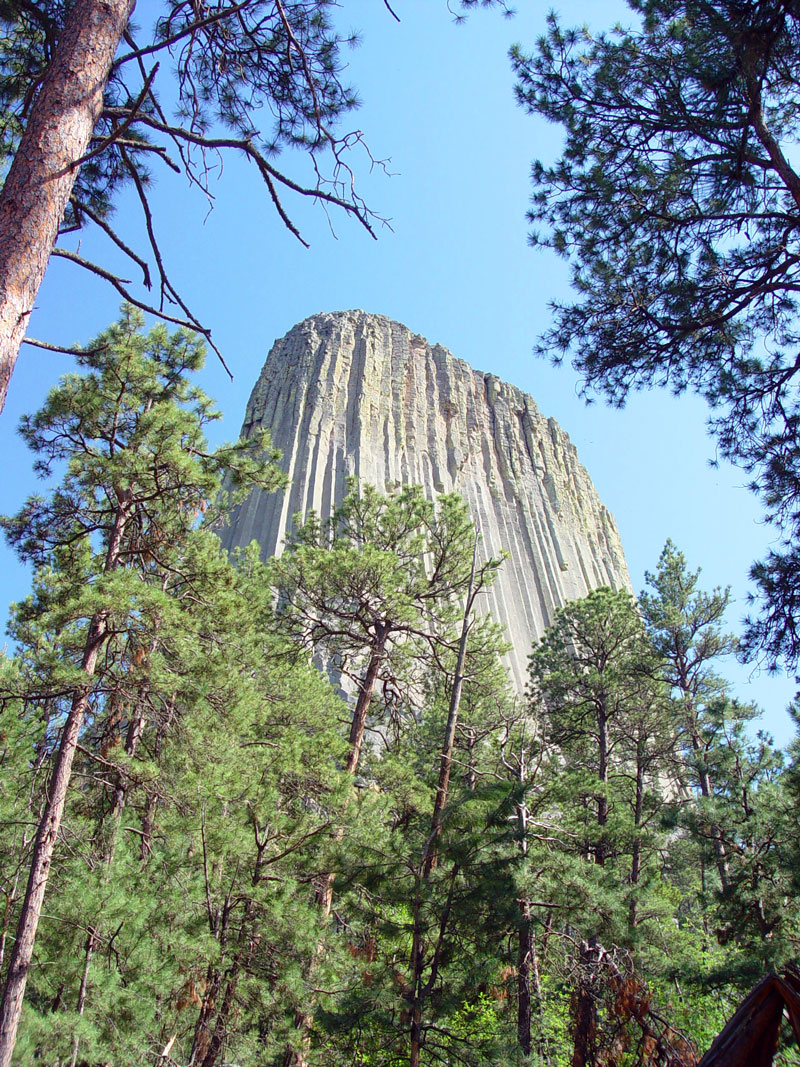Devils Tower from Tower Trail NW