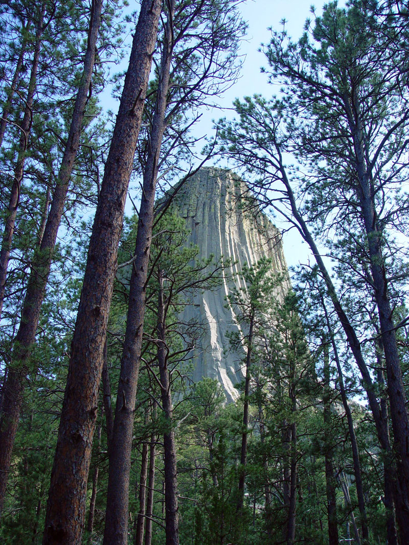 Devils Tower from Tower Trail NNW