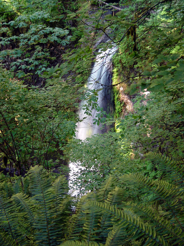 Ecola Falls
