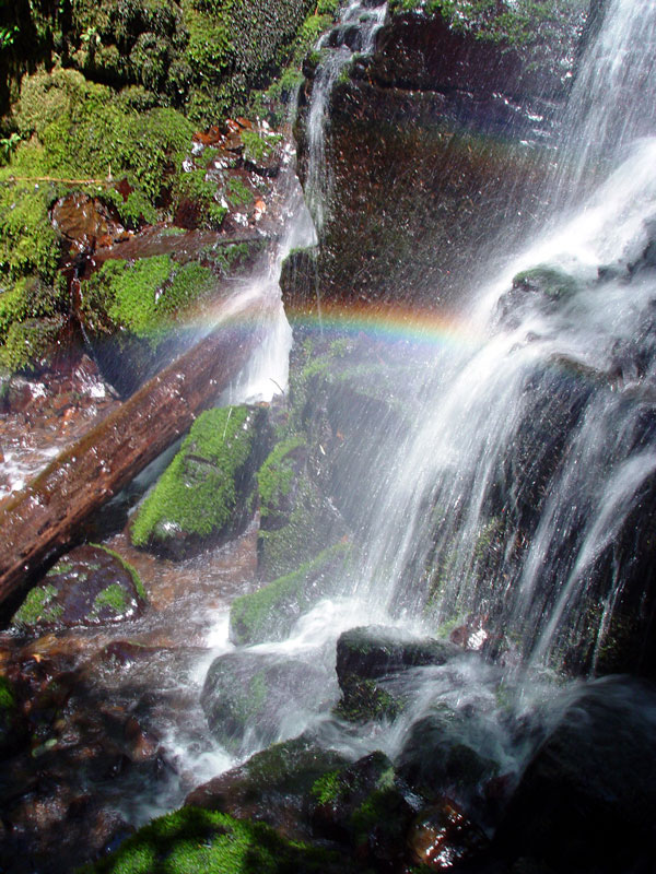 Fairy Falls rainbow
