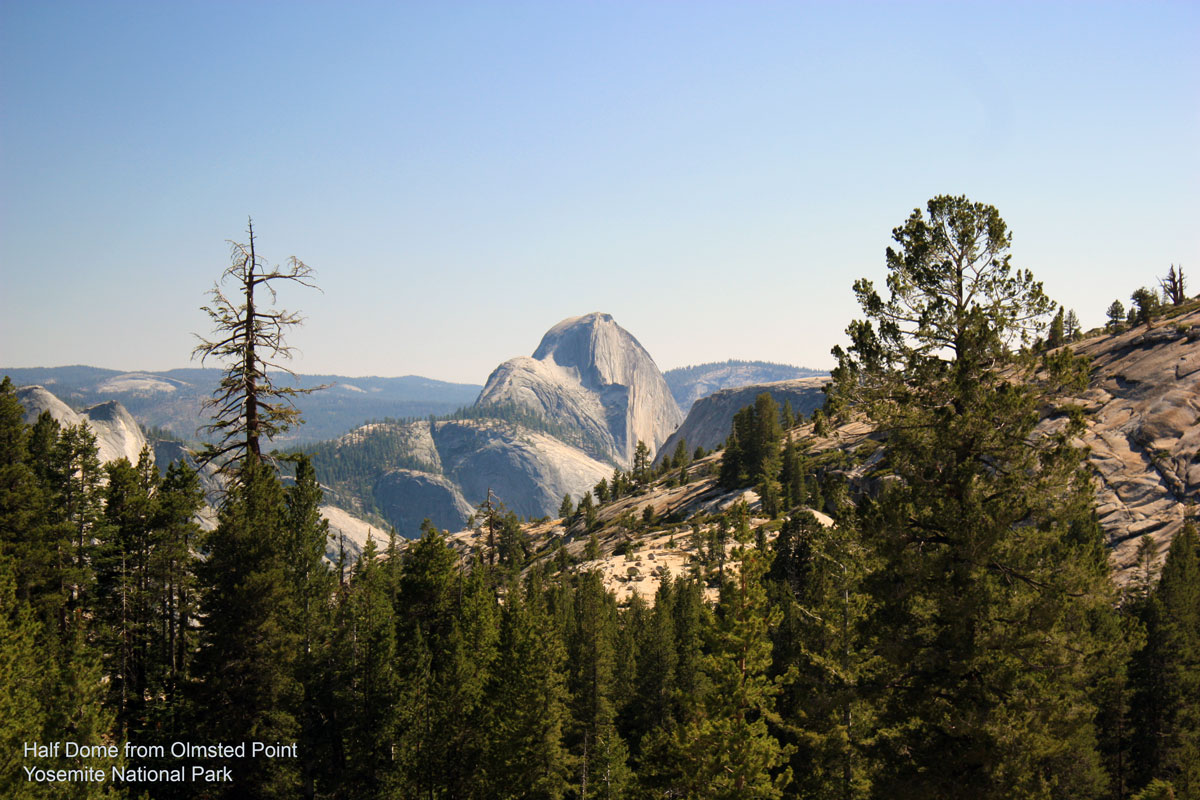 Half Dome from Olmsted Point