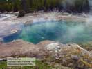 Celestine Pool Yellowstone