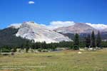 Lembert Dome and Mt Dana from Tuolumne Meadows