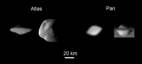 Moonlets with large equatorial ridges