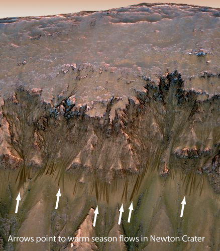 warm season flows in Newton Crater