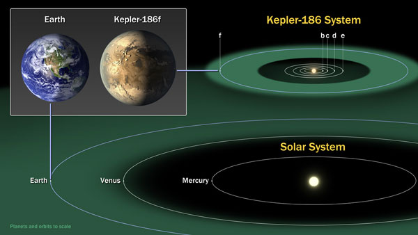 Kepler 186's habitable zone and planet system