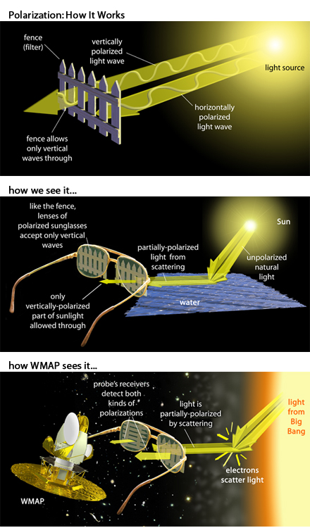 how polarization works