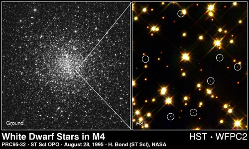 white dwarfs in a globular cluster