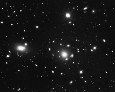 Coma cluster