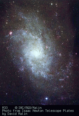 Messier 33---Triangulum Galaxy