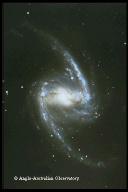 NGC 1365