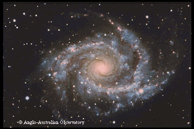 NGC 2997