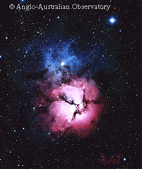 the Trifid Nebula