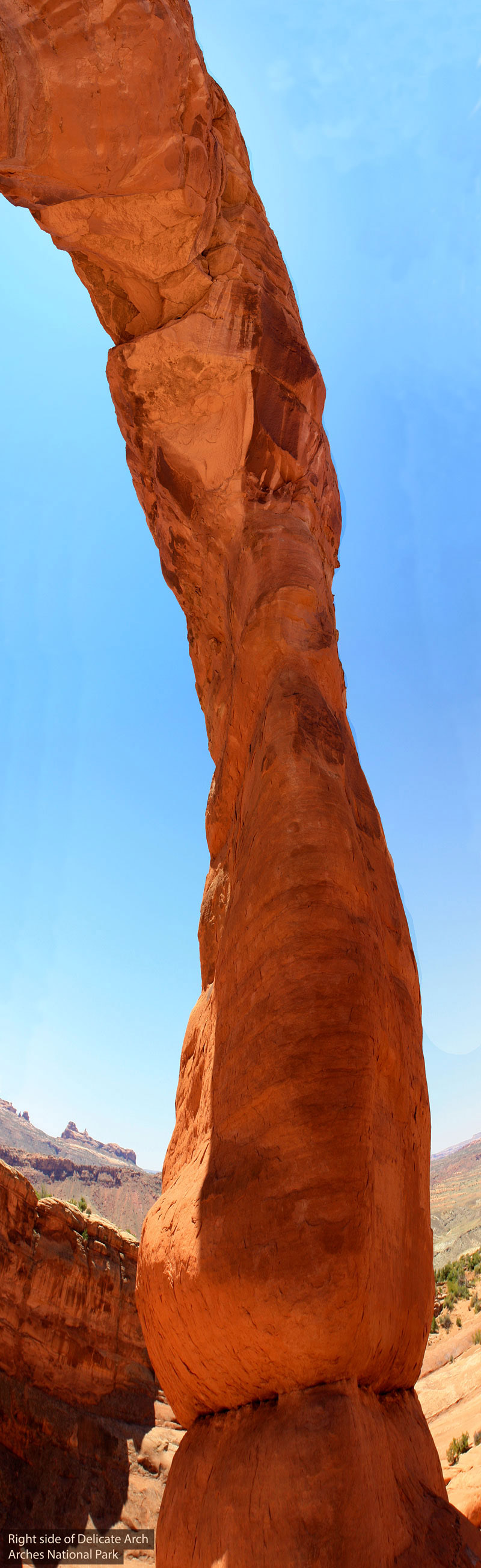 Under Delicate Arch