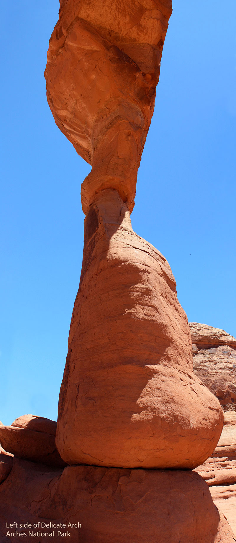 Under Delicate Arch