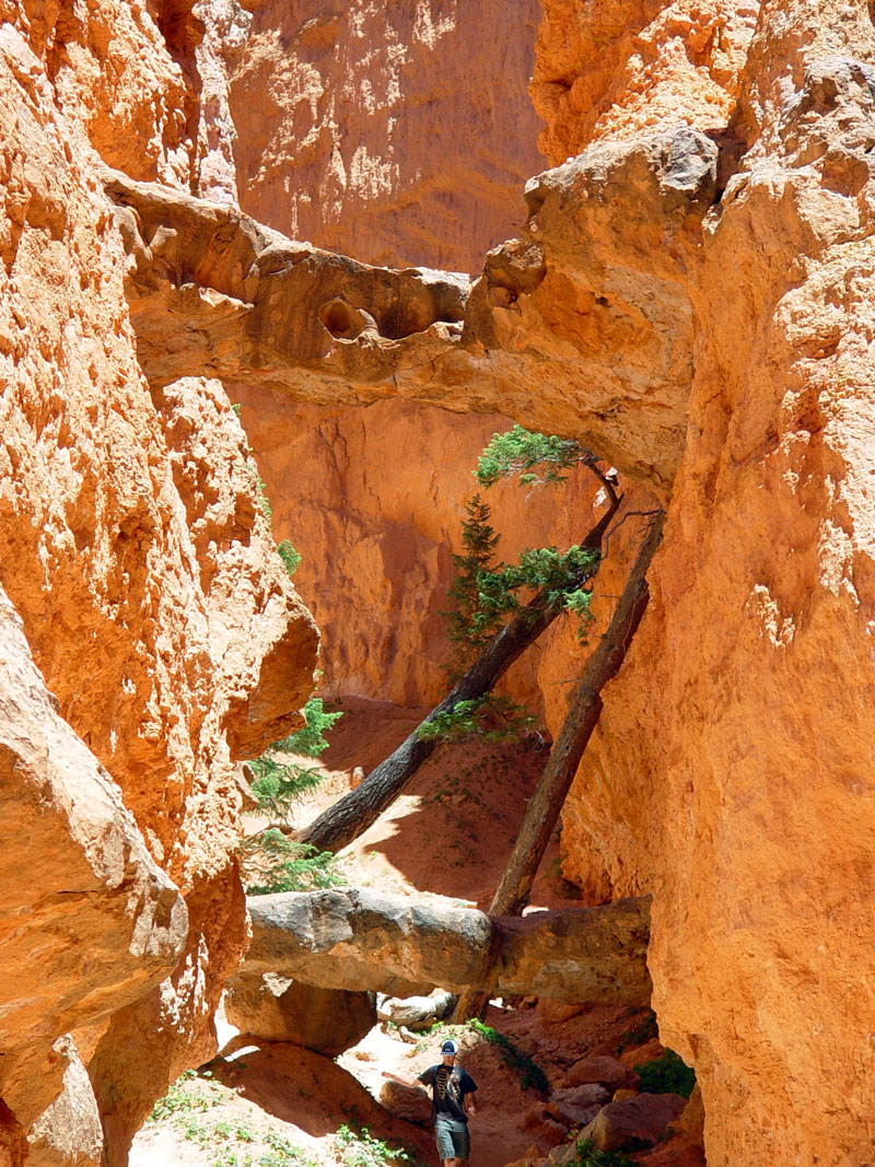 Two Bridges Navajo Loop