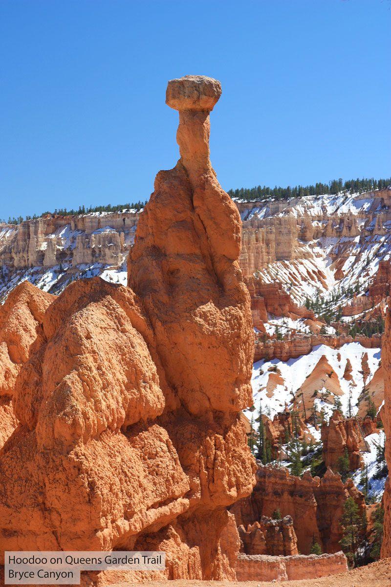 Hoodoo near top (start) of Queens Garden trail