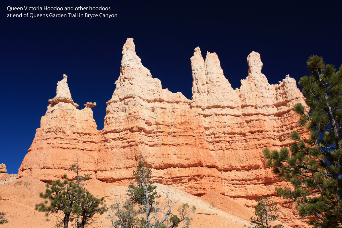 Queen Victoria Hoodoo and other hoodoos at end of Queens Garden Trail