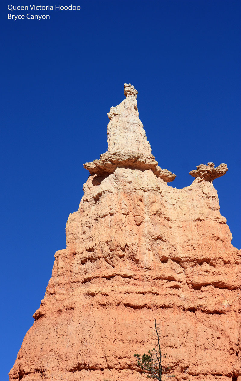 Queen Victoria Hoodoo at end of Queens Garden Trail