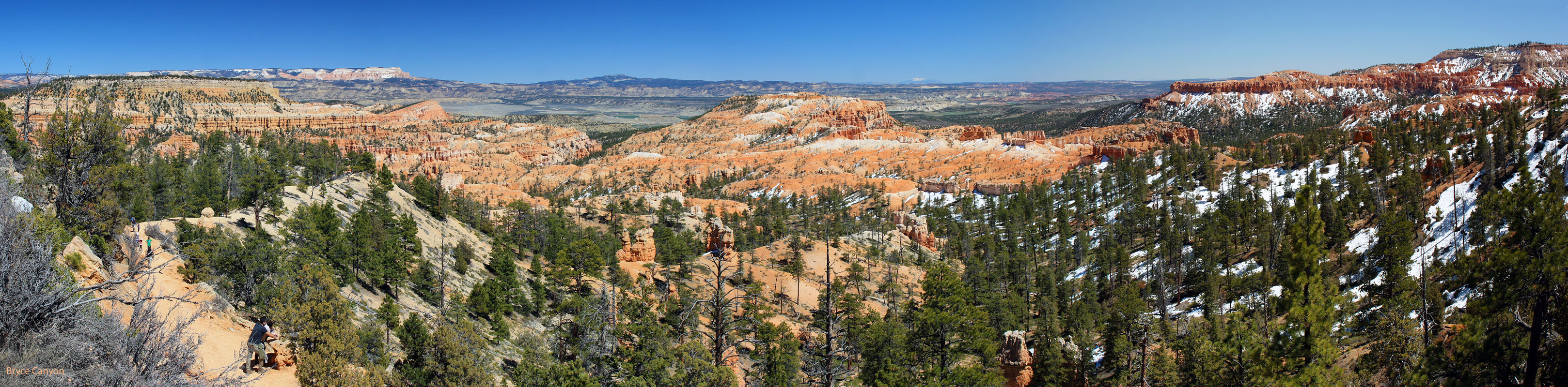 Near Visitor Center view