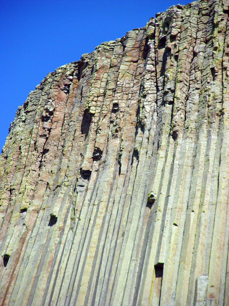 Devils Tower columns