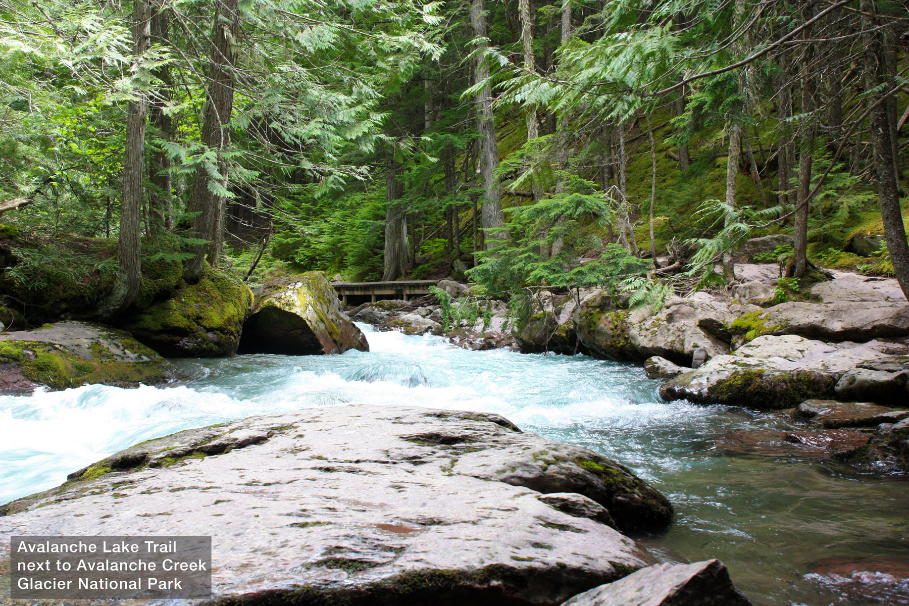 Avalanche Trail at Glacier National Park