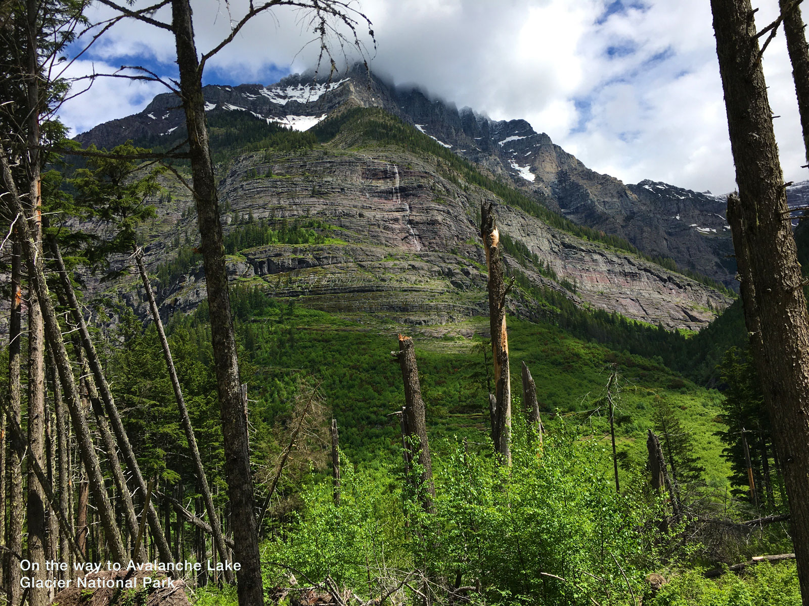 Avalanche Trail at Glacier National Park