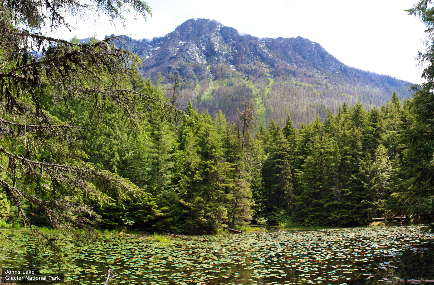 Johns Lake at Glacier National Park