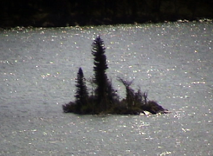 Wild Goose Island Glacier NP