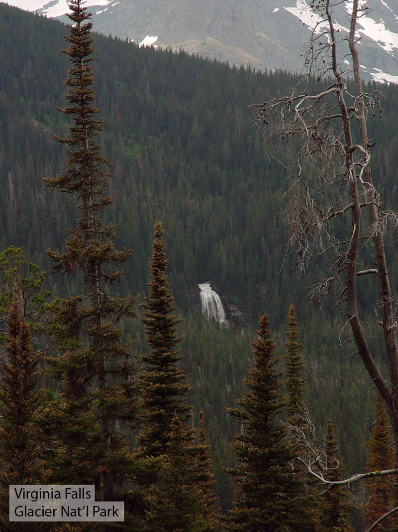 Virginia Falls Glacier National Park