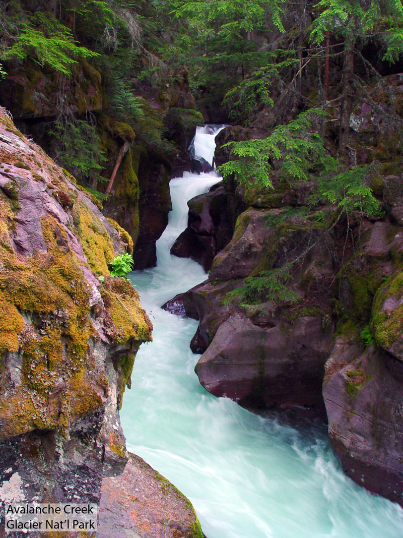 Avalanche Creek Glacier National Park