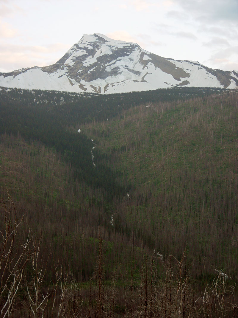 Heavens Peak Glacier National Park