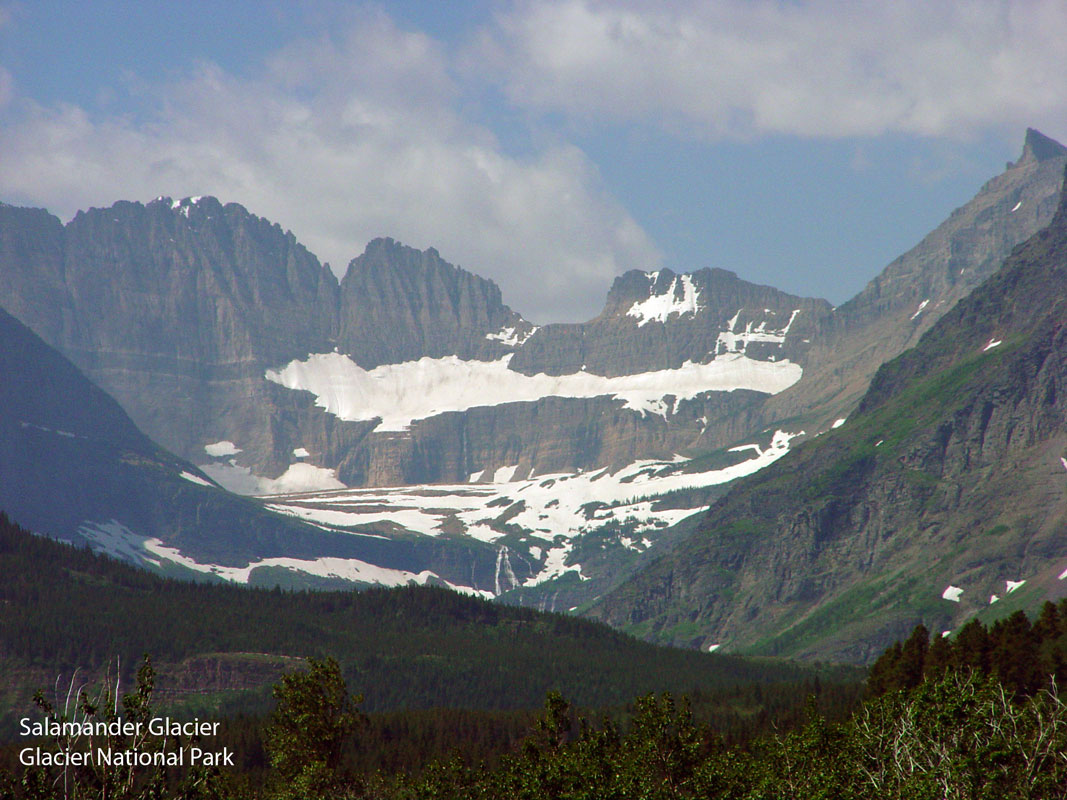 Salamander Glacier Glacier National Park