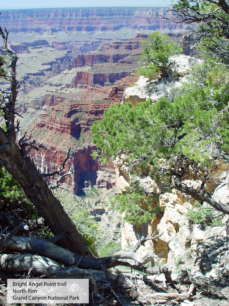 Bright Angel Point trail