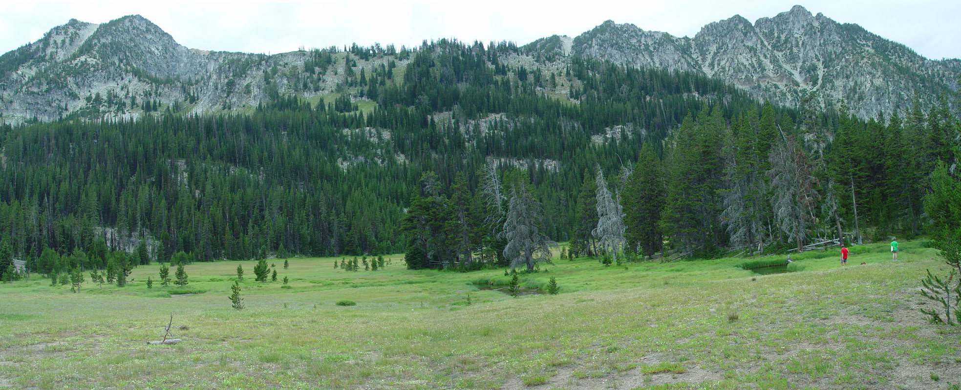 Meadow along East Fork Wallowa River trail