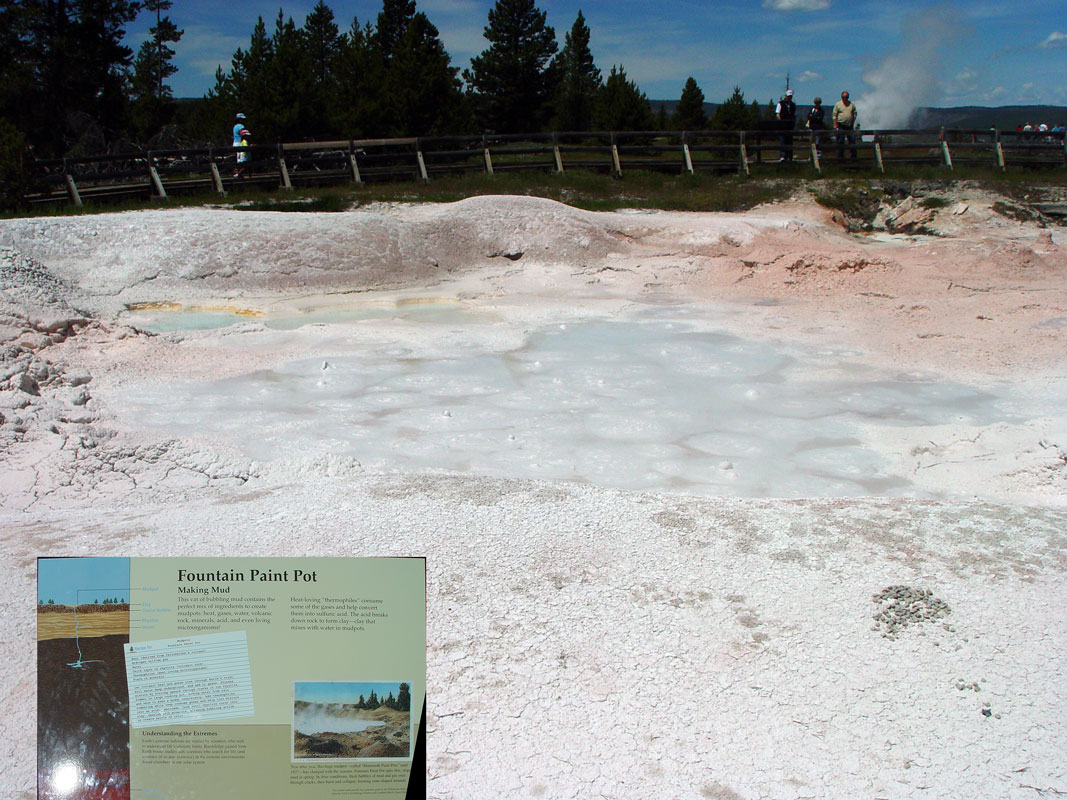 Fountain Paint Pot Yellowstone