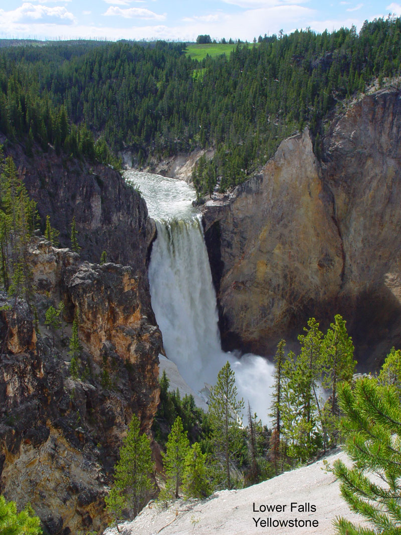 Lower Falls Yellowstone