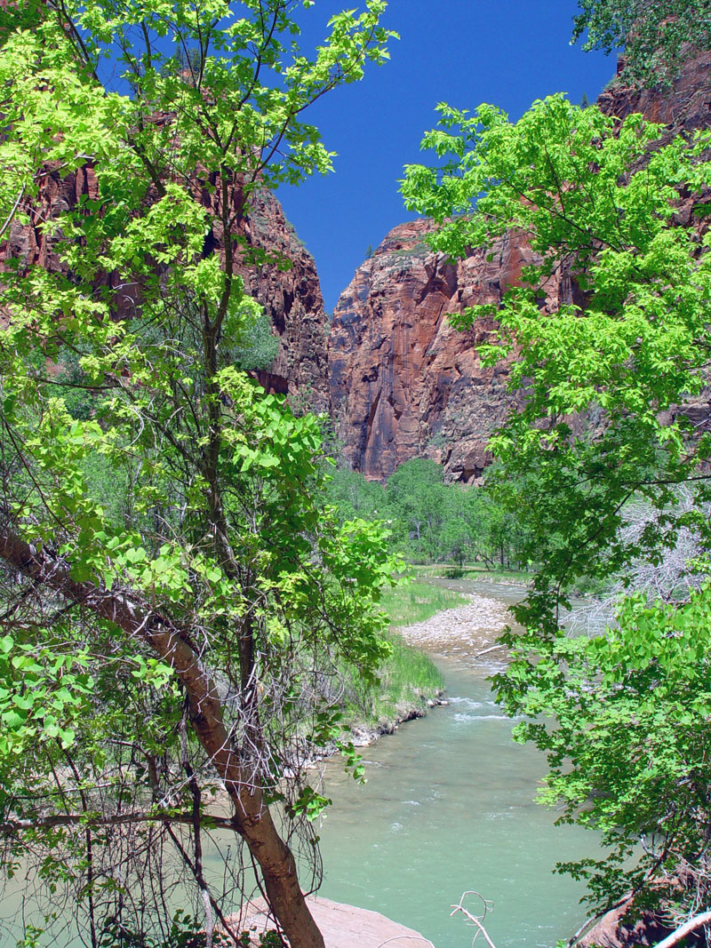 Near the Narrows at Zion