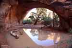Navajo Arch