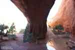 Underneath Navajo Arch