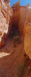 Erosion happens along Queen's Garden Trail