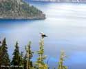 Gray Jay Crater Lake