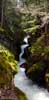 Avalanche Creek