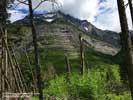 Avalanche Lake Trail