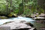 Avalanche Lake Trail