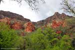 Oak Creek Canyon Visitor Center