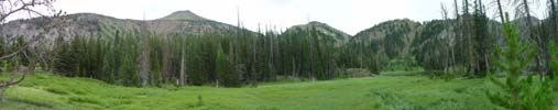 meadow above Wallowa Lake